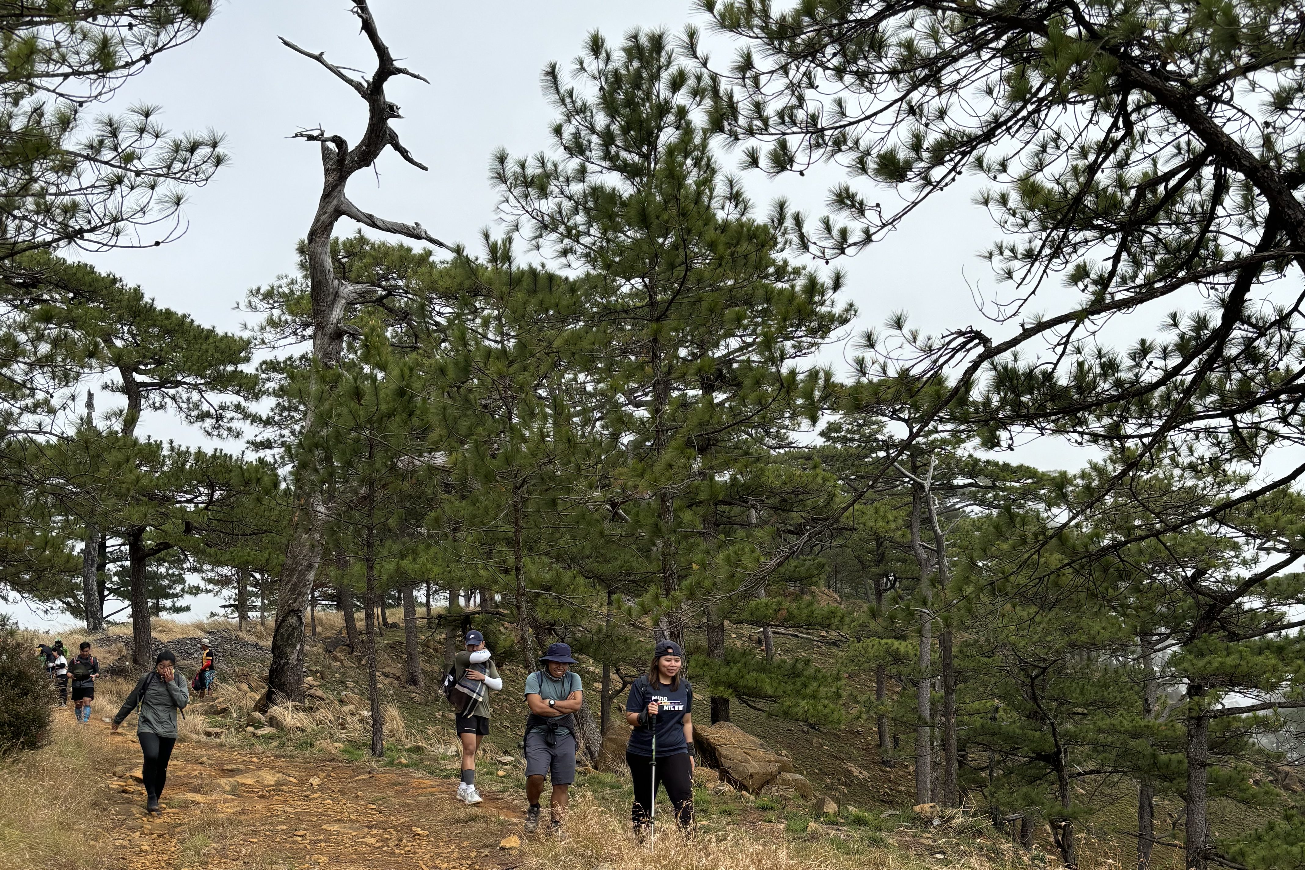 Mt. Tapulao Trail downhill