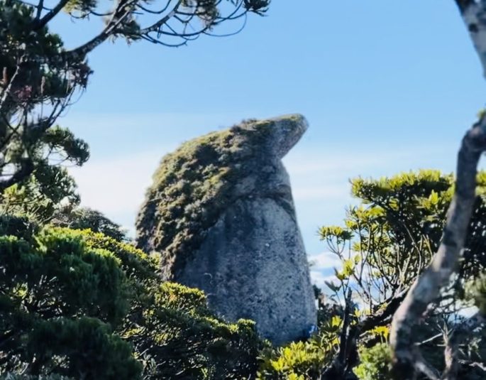 A Chill Adventure Hike to Mount Sicapoo, via Apayao&nbsp;Trail