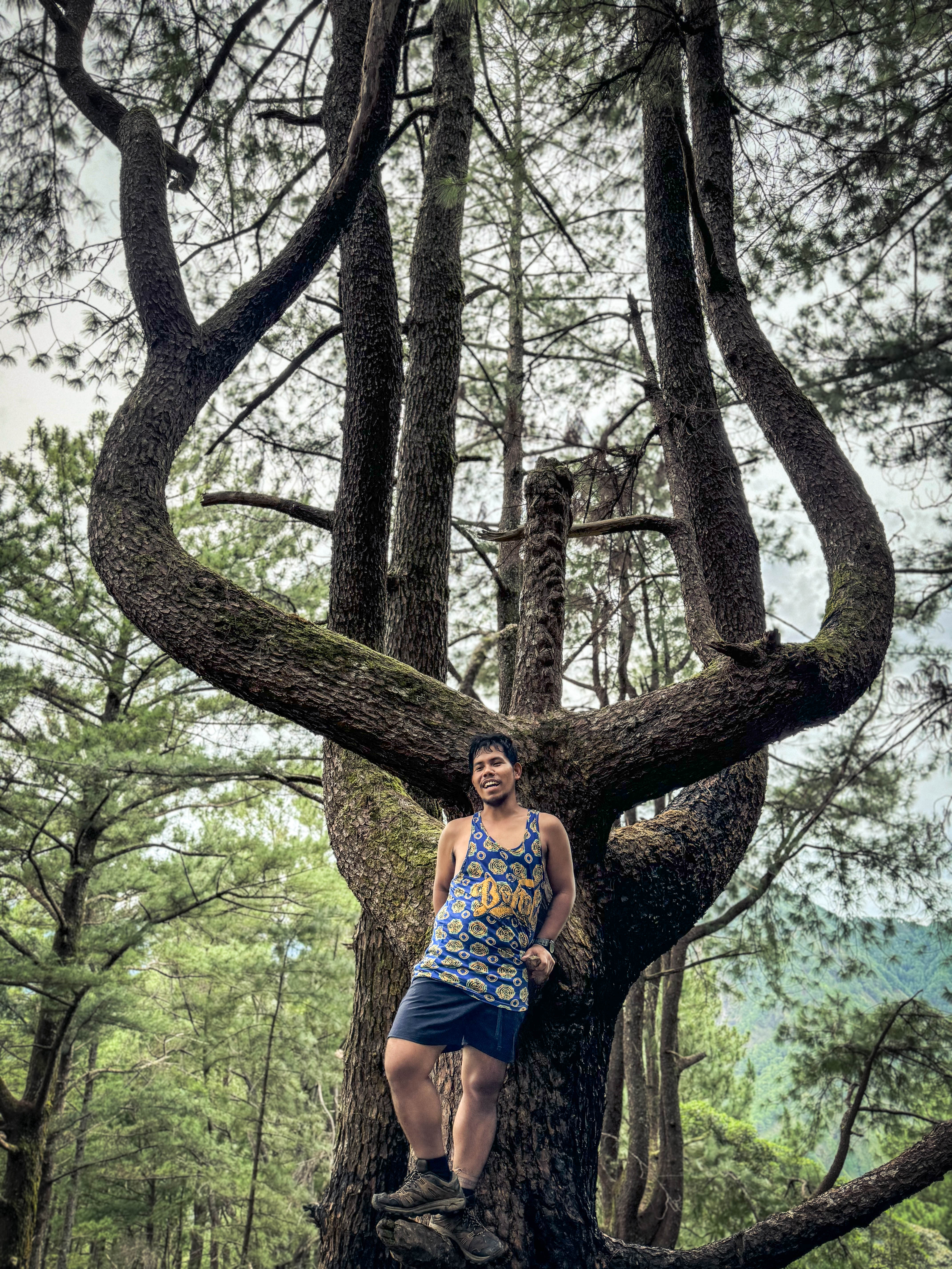 Is Akiki Really a Killer Trail? A Chill Adventure to Mt. Pulag via ...